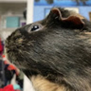 Meet your Posher, Eloise